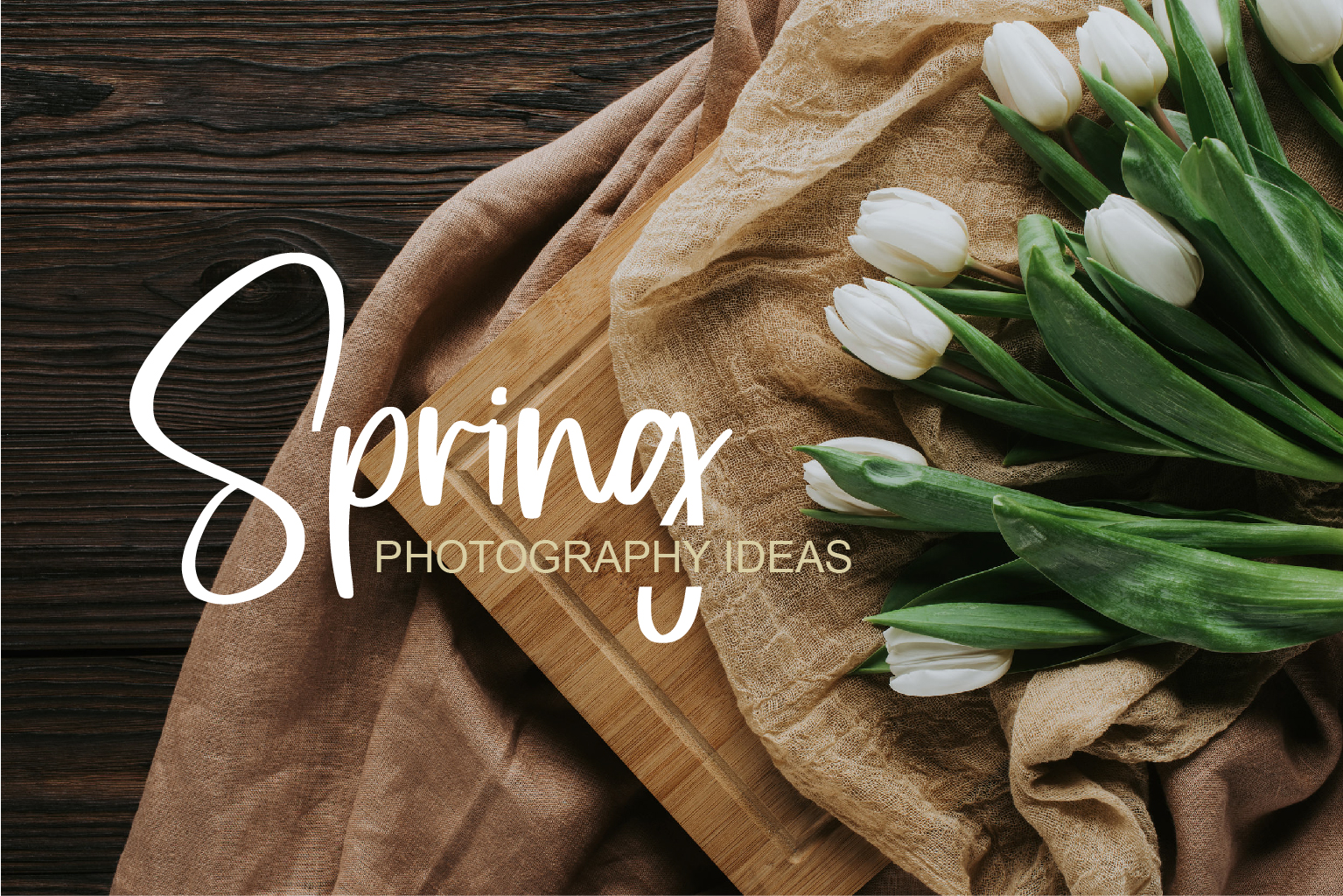 You are currently viewing 5 Spring Photography Ideas You Won’t Wanna Miss Out
